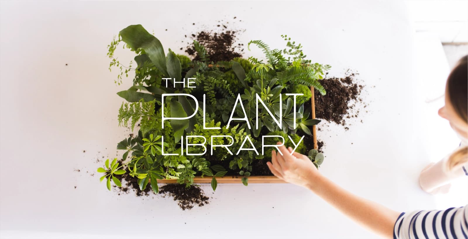 A Plant Library plant installation with the brand mark overlaid.
